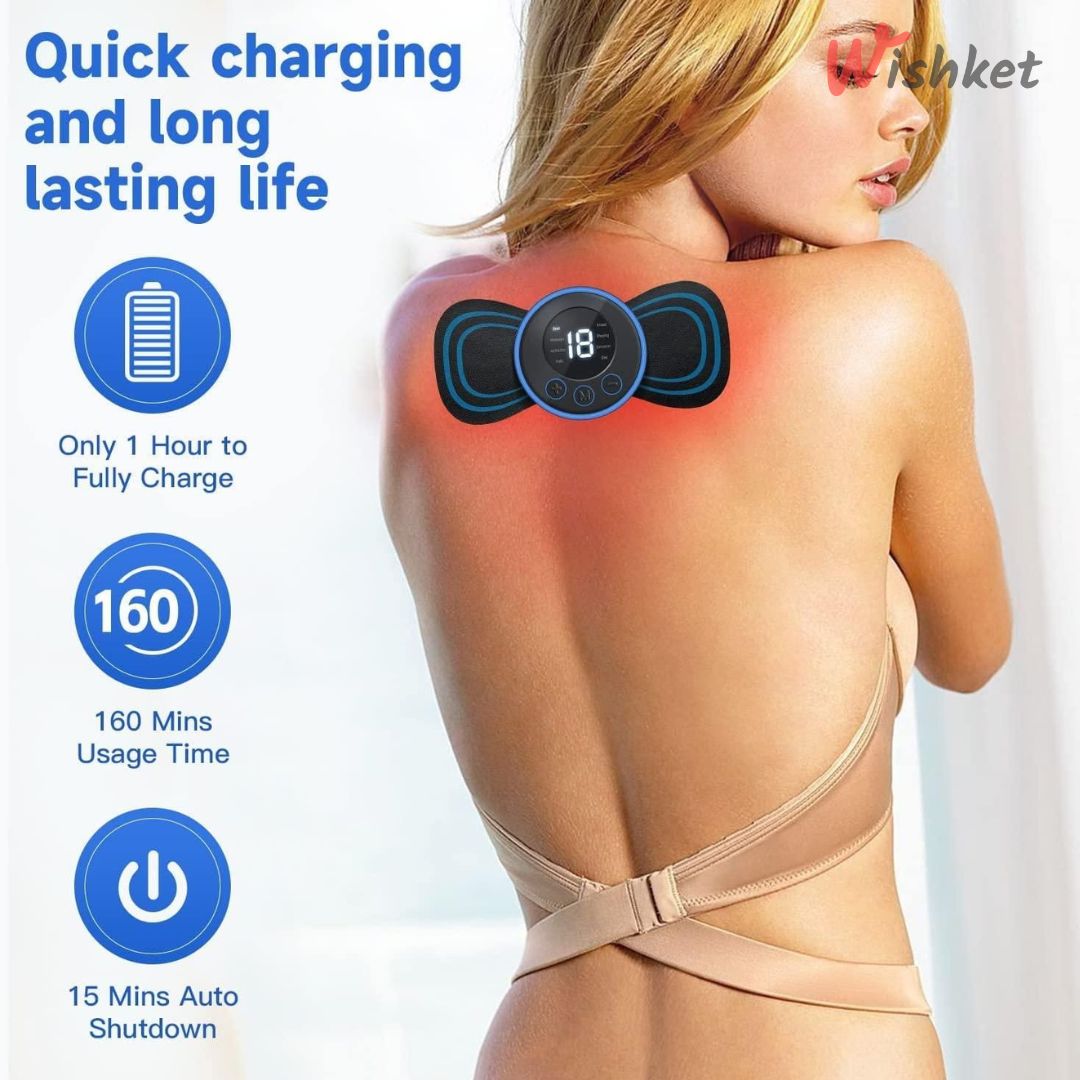 ElectroFlex Massager