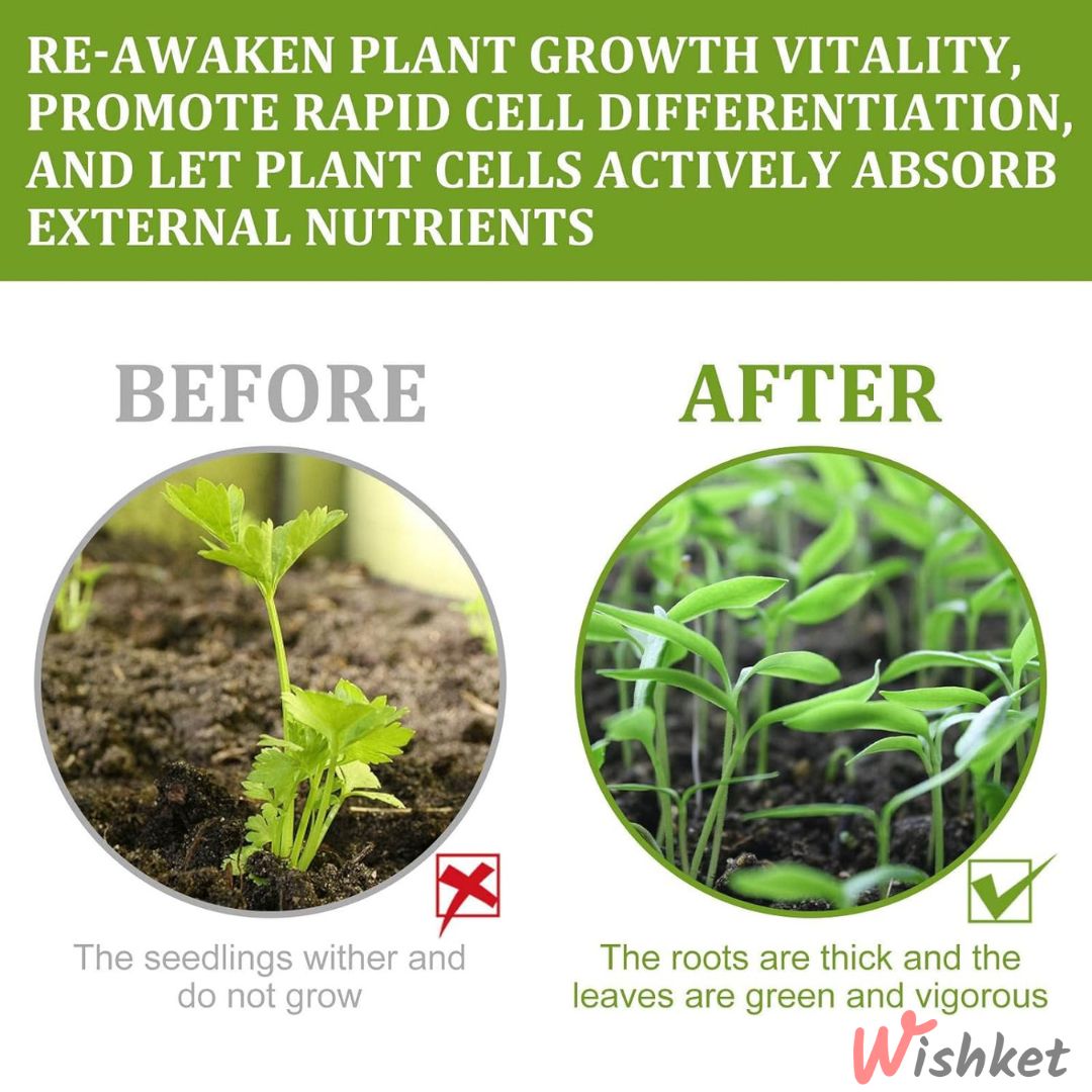 Plant Growth Supplement